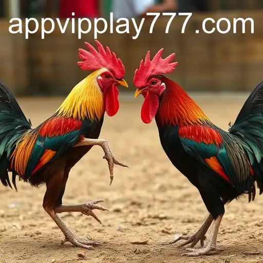 The Intriguing World of Sabong Games and the Role of vipplay777